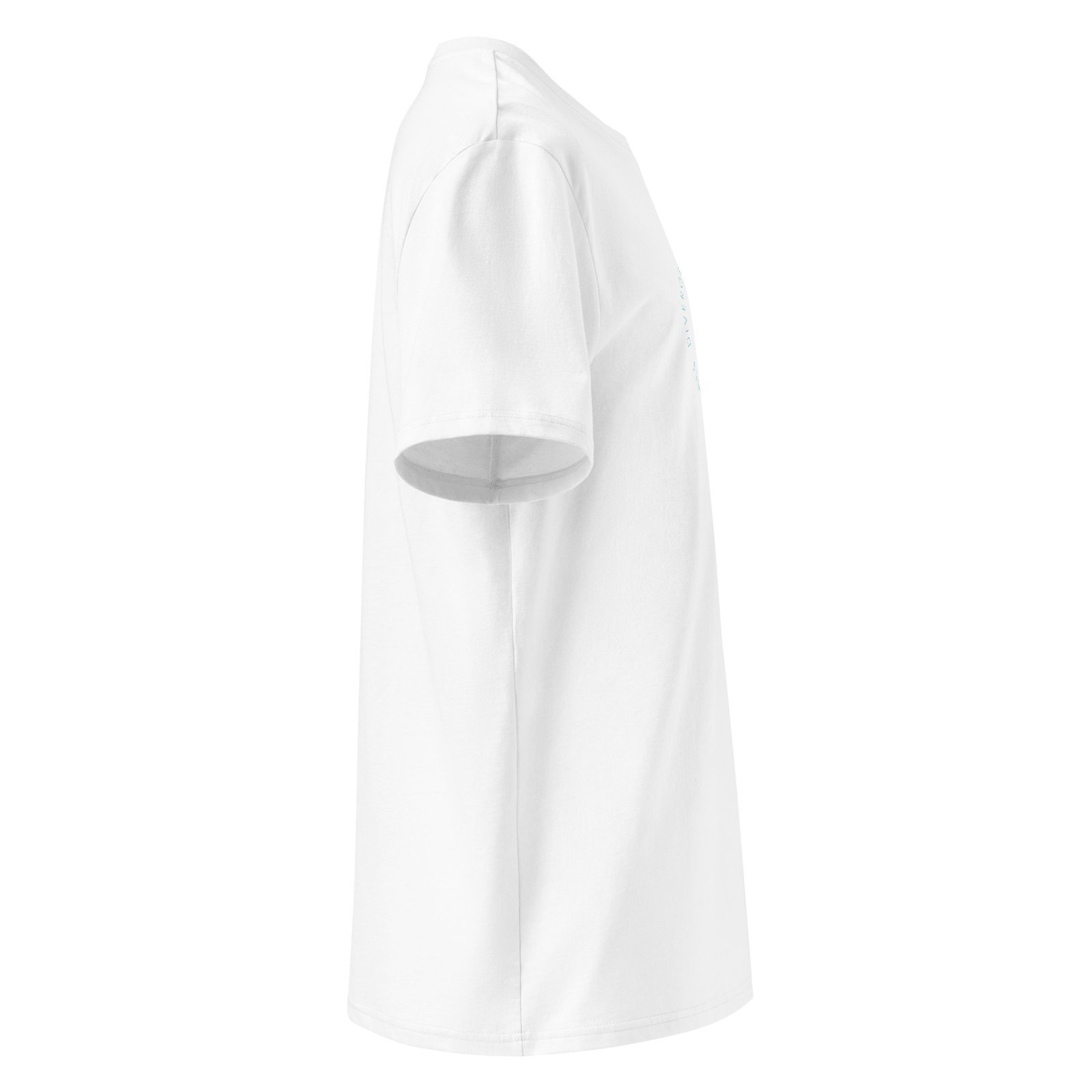 Camiseta de algodón orgánico unisex (Blanca o Negra) | Tienda solidaria Diversum Vigo